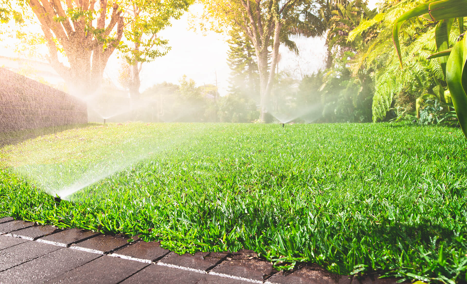 popup-sprinkler-banner